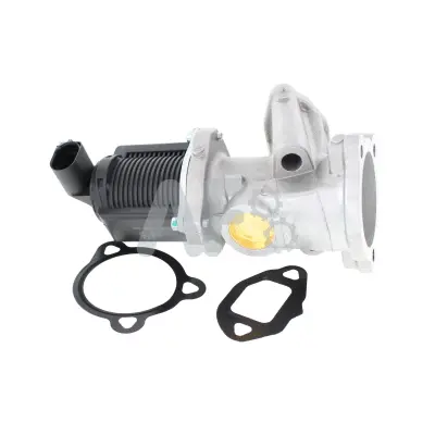 Gasket, EGR valve (PGR4036)