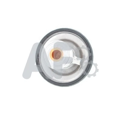 Thermostat, coolant (PTH9882)