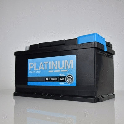 Starter Battery (AFB110E)