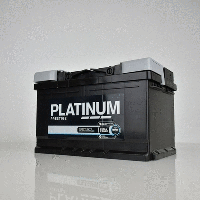 Starter Battery (100E)