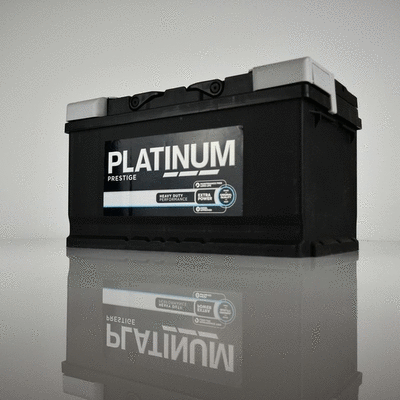Starter Battery (110E)