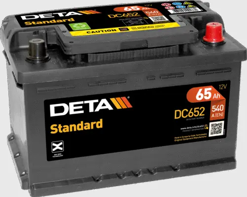 Starter Battery