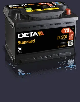 Starter Battery