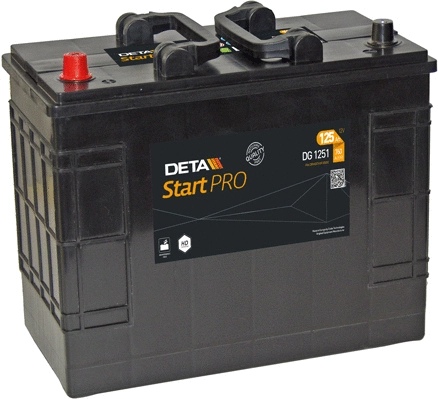 Starter Battery
