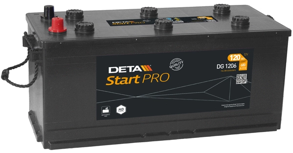Starter Battery (DG1206)