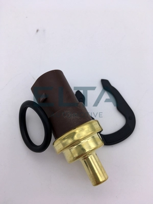 Sensor, coolant temperature (EV0119)