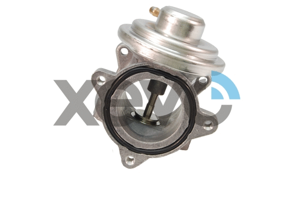 EGR Valve (XEG9103)