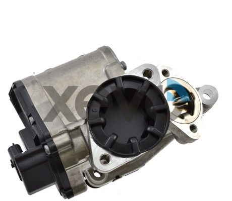 EGR Valve (XEG9105)