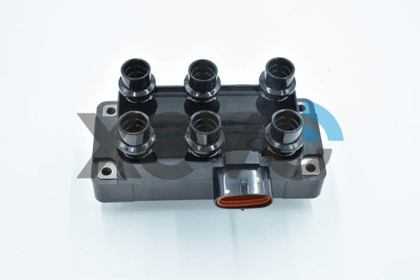 Ignition Coil (XIG5842)
