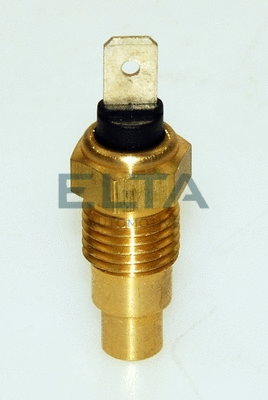 Sensor, coolant temperature (EV0143)
