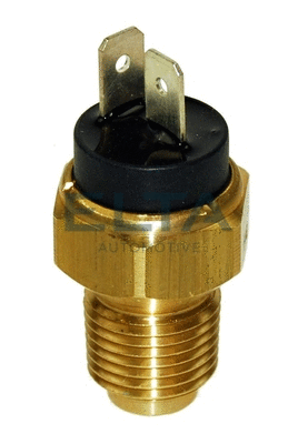 Sensor, coolant temperature (EV0161)