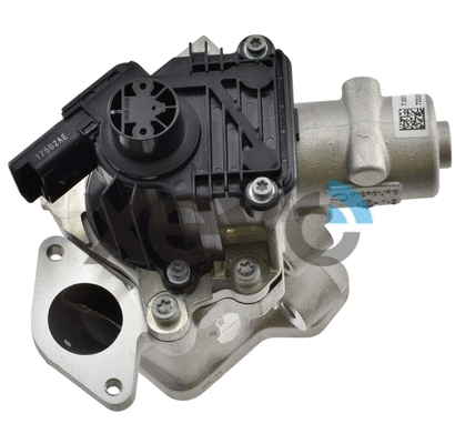 EGR Valve (XEG9204)