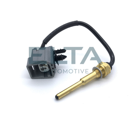 Sensor, coolant temperature (EV0030)