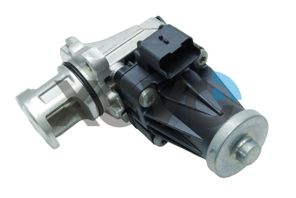 EGR Valve (XEG9050)