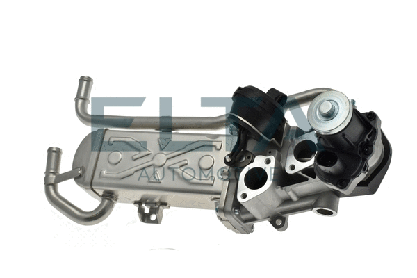 EGR Valve (EE6258)