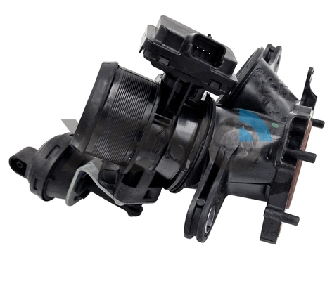 Throttle Body (XTB9901)