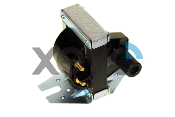 Ignition Coil (XIG5813)