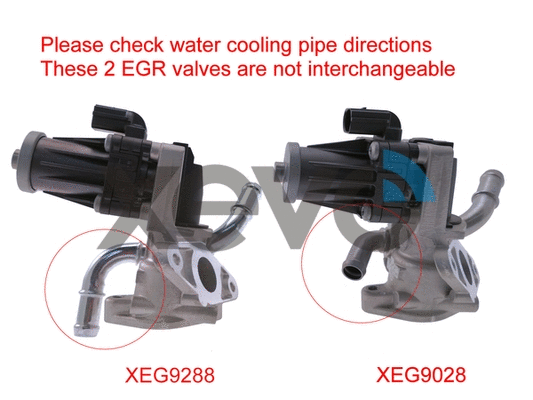 EGR Valve