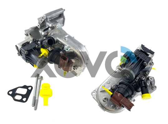 Cooler, exhaust gas recirculation (XEG9385)
