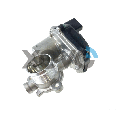 EGR Valve (XEG9388)
