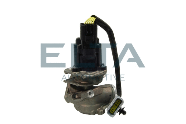 EGR Valve (EE6079)