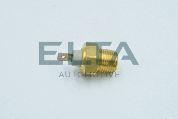 Sensor, coolant temperature (EV0165)