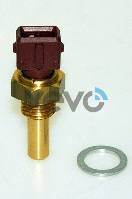 Sensor, coolant temperature (XTS7825)