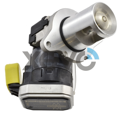 EGR Valve (XEG9093)