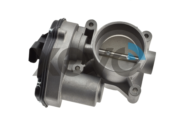 Throttle Body (XTB9743)