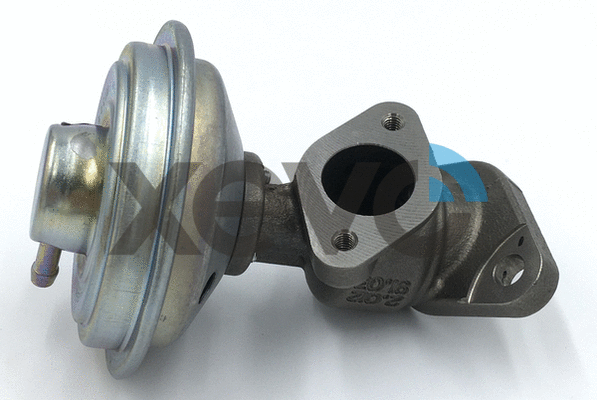 EGR Valve (XEG9306)