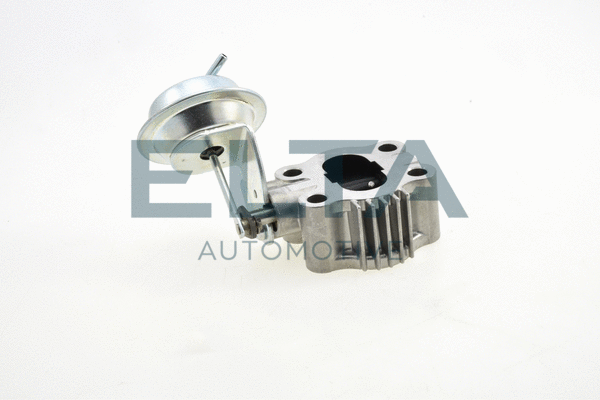 EGR Valve (EE6910)