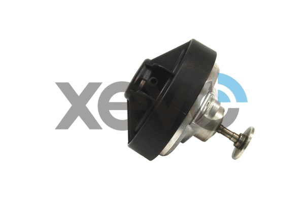 EGR Valve (XEG9123)