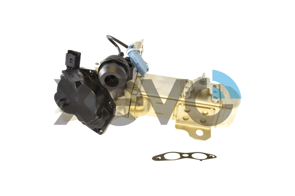 EGR Valve