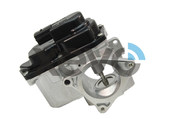 EGR Valve (XEG9033)