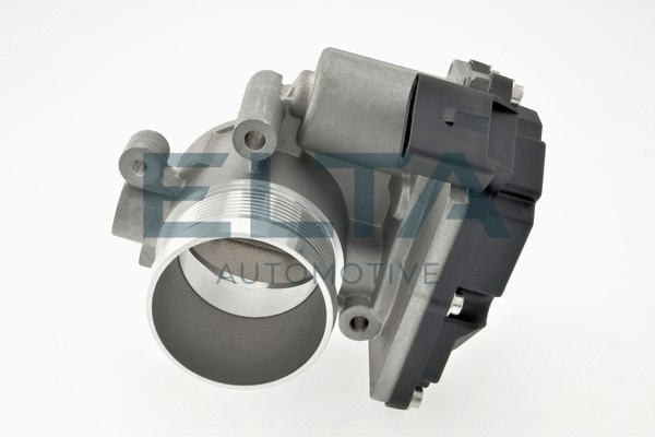 Throttle Body (EE7500)