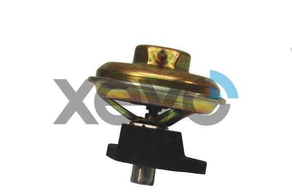 EGR Valve (XEG9138)