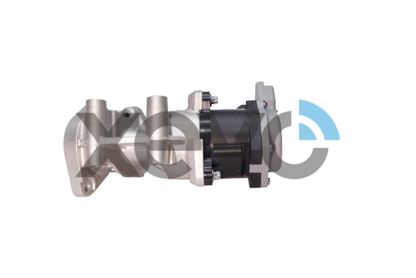 EGR Valve (XEG9031)