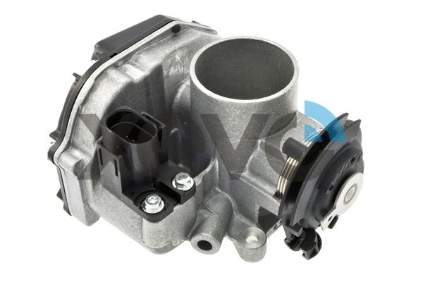 Throttle Body (XTB9725)