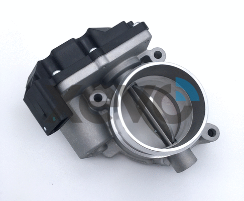 Throttle Body (XTB9776)