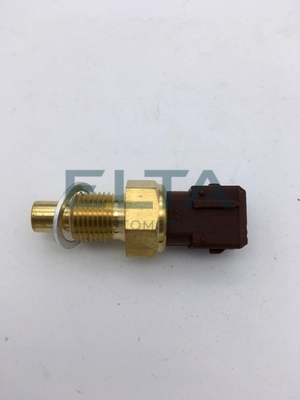 Sensor, coolant temperature (EV0070)