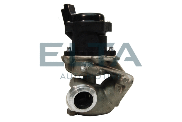 EGR Valve (EE6008)