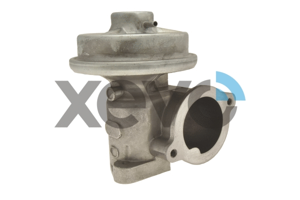 EGR Valve (XEG9019)