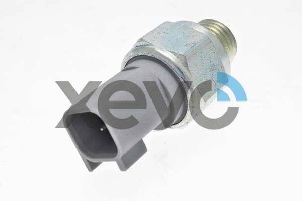 Switch, reverse light (XBL7481)