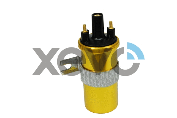 Ignition Coil (XIG5801)