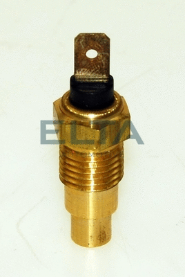 Sensor, coolant temperature (EV0078)