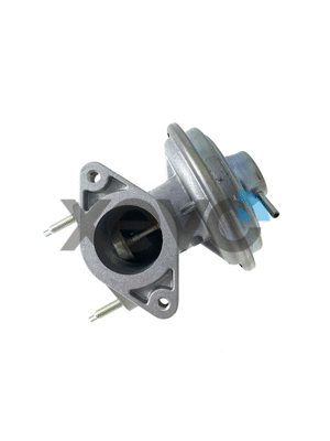 EGR Valve (XEG9264)