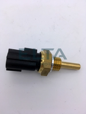 Sensor, coolant temperature (EV0232)