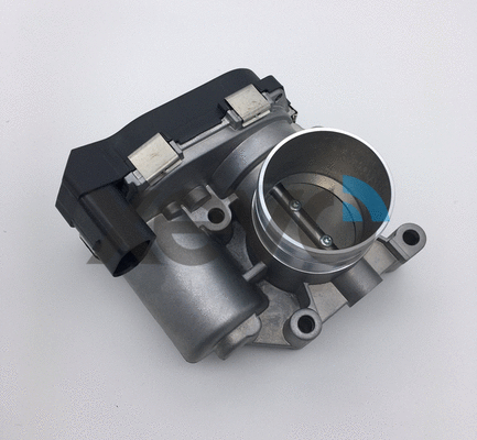 Throttle Body (XTB9838)