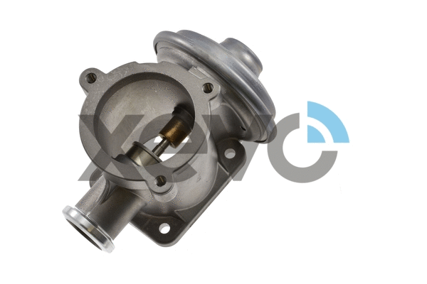 EGR Valve (XEG9234)