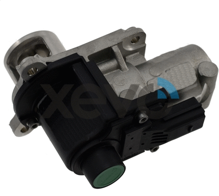 EGR Valve (XEG9236)